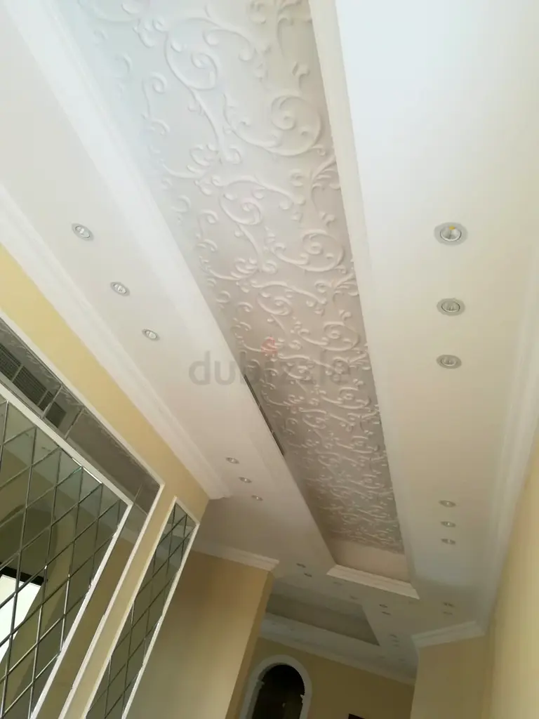 DPV_View_Image_7