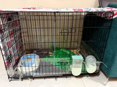 Large metal pet cage