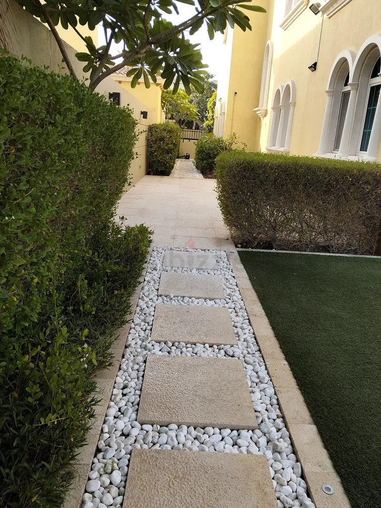DPV_View_Image_2