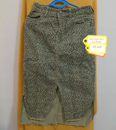 Zara Maxi Skirt