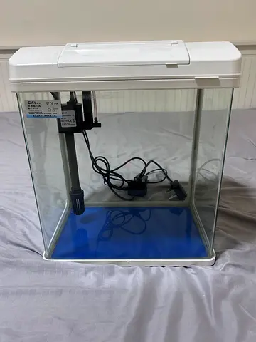 C.A.Y. E-310 Curved Glass Desktop Aquarium (16L / 5 Gallon) - Complete Starter Set