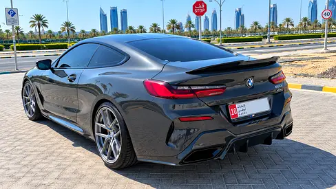 2019 BMW 8-SERIES — миниатюра 20
