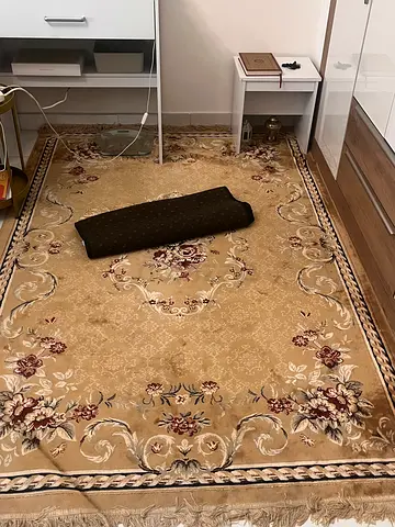 Beige Floral Large Area Rug — Good Condition