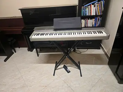 Casio Privia Px120 with mettallic stand and sustain pedal. Cash on delivery with six months warranty
