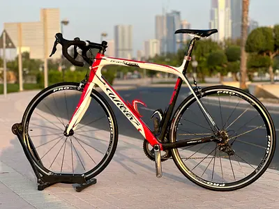 Wilier carbon Roadbike (xl)