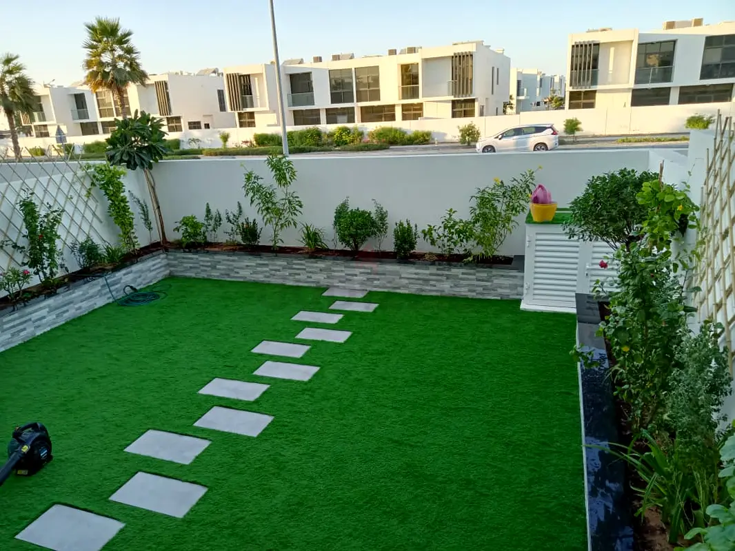 DPV_View_Image_2