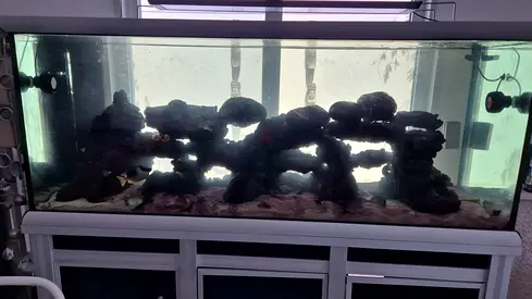 aquarium salt water