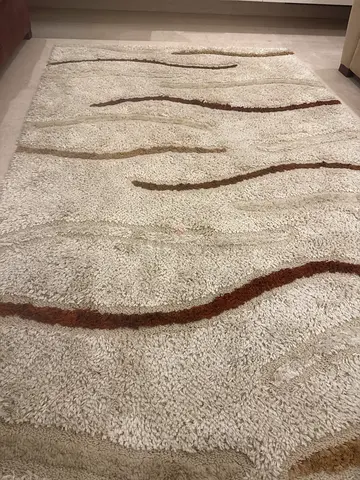 Shaggy carpet