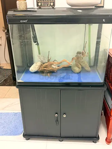 Glass terrarium tank with stand and decor – good condition