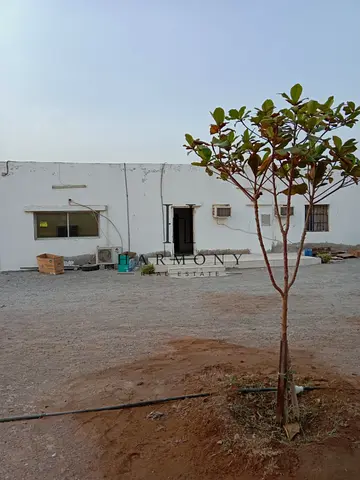 Farm l Agricultural plot Mainland l Grow Vegetables or Trees or Fruits l Take-Over Easily l Greenhouses l Assets