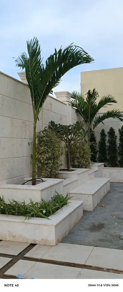 DPV_View_Image_7