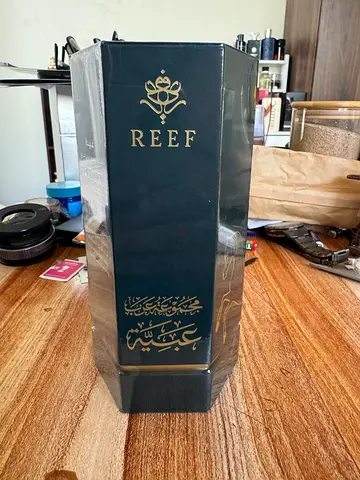 Reef 33 & reef obayah