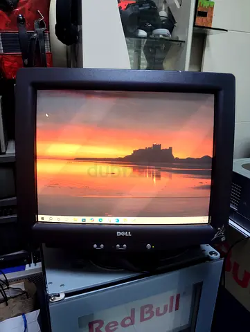 Del computer Monitor