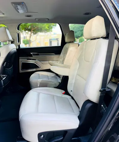 2020 KIA TELLURIDE 照片 10