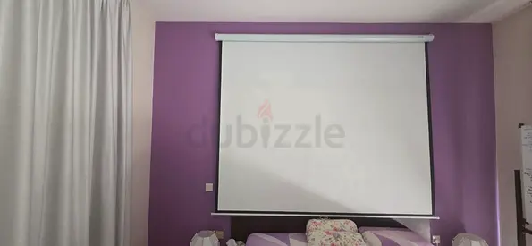 PROJECTOR SCREEN 250 X 220