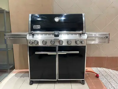 Weber Summit Stainless Steel Gas BBQ Grill
