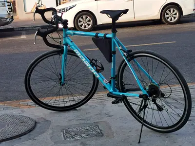 Magoo Rapid Racing 700C Road Bike - 14 Speed, Alloy Frame