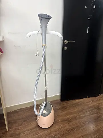 Steam stand iron