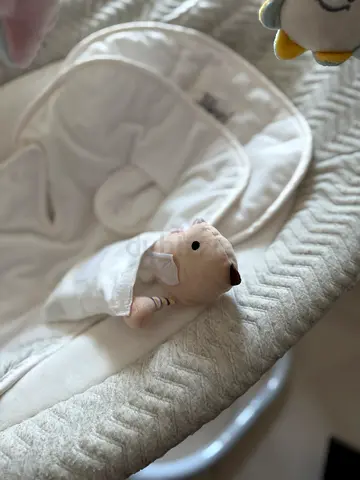 Baby bouncer