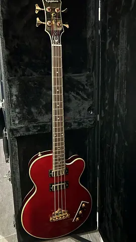 Epiphone Allen Woody Rumblekat Bass