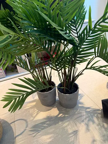 Decorative Artificial Plant with Woven Basket