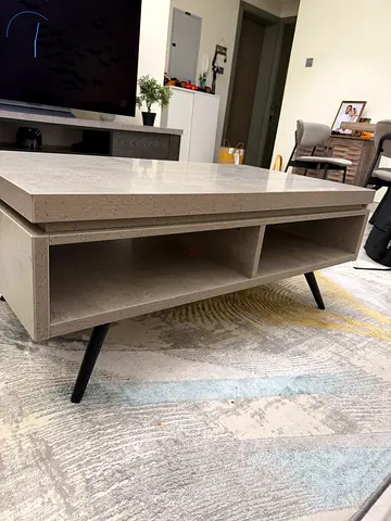 Modern rectangular coffee table with storage compartment