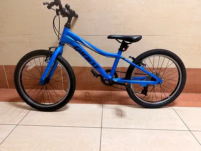GIANT XTC JR 20“. Kids Bike
