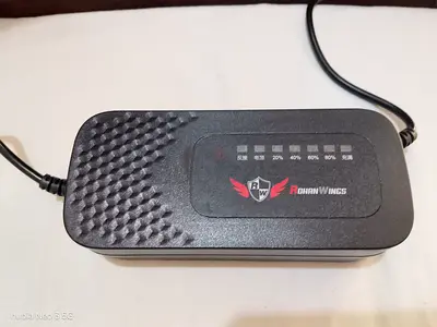 Electric scooter charger (rohan wings) 48V