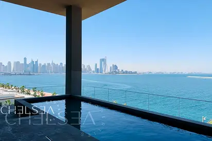 PALM AND OCEAN-SUNSET | SKYLINE VIEWS | OPTIONS