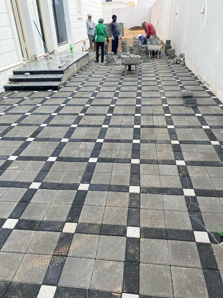 DPV_View_Image_8