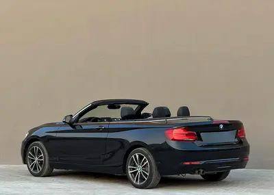 2018 BMW 2-SERIES 照片 8