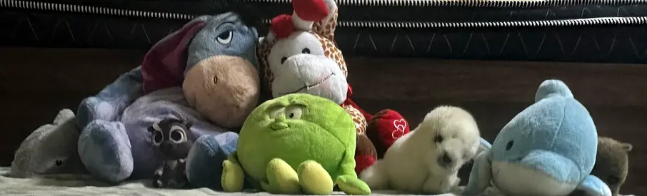 Bundle of few time used stuffed animals and plush toys - mixed characters