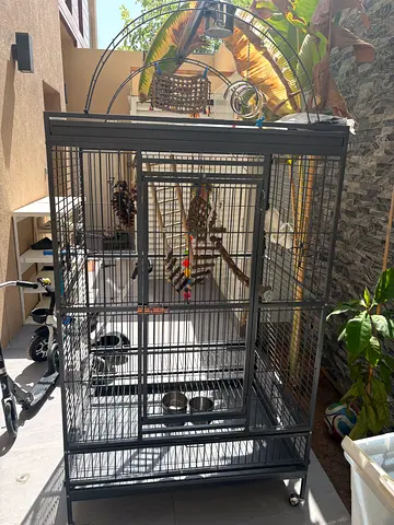 Large metal bird cage on wheels with perches and feeding bowls