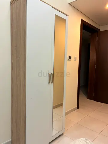 2-door shoe cabinet