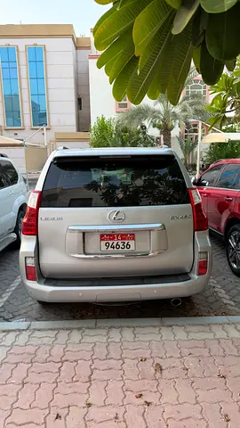2010 Lexus GX-SERIES 照片 2