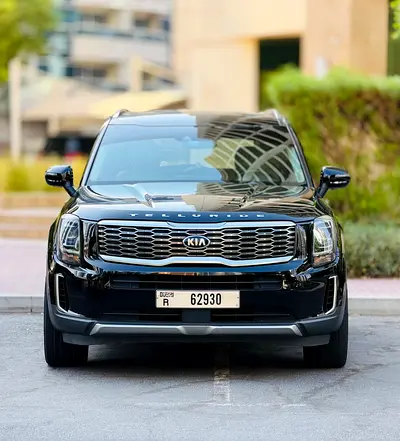 2020 KIA TELLURIDE 照片 2