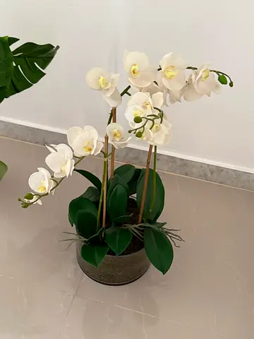 Artificial plant orchid