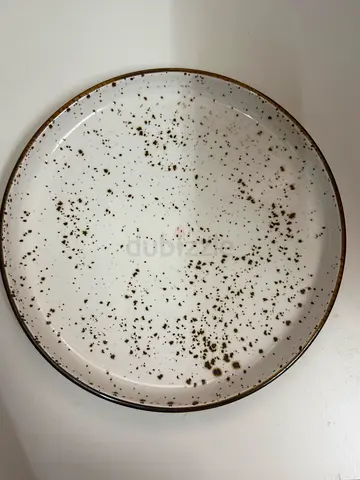 Dinner plate