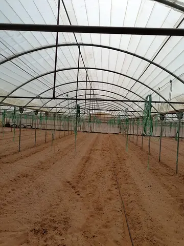 Greenhouses for Sale / بيوت محمية زراعية للبيع