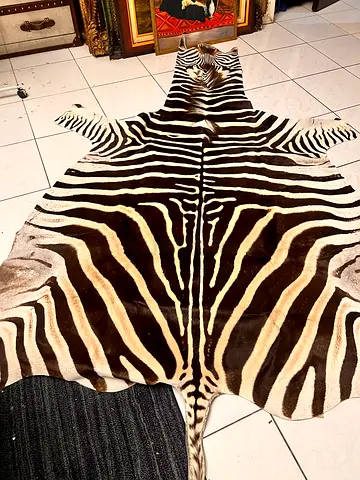 For Sale: Genuine 100% Natural Zebra Skin Hide Rug