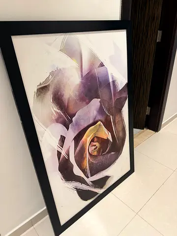 2 framed artwork