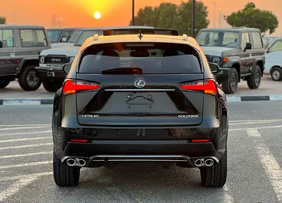 2020 Lexus NX-SERIES 照片 5