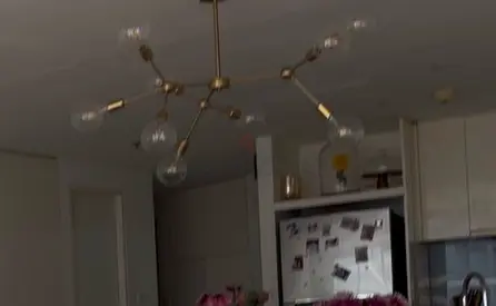 Modern brass multi-arm ceiling chandelier with glass globe bulbs warm light bulbs included