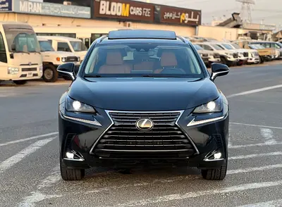 2020 Lexus NX-SERIES 照片 2