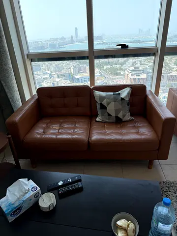 Sofa 2-Seat - Golden Brown Leather - Wood - IKEA