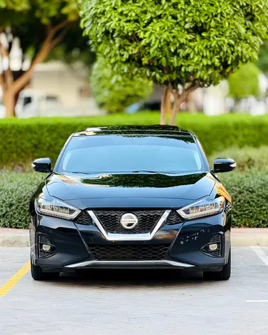 2020 Nissan MAXIMA 照片 2