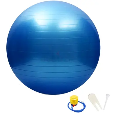 Blue Exercise / Stability Ball with Pump