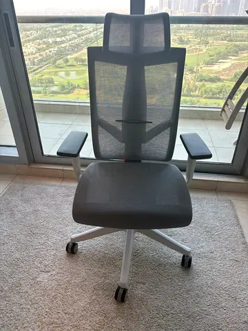 Gaming/Executive Ergonomic Chair (Dark Grey with Red Accents)