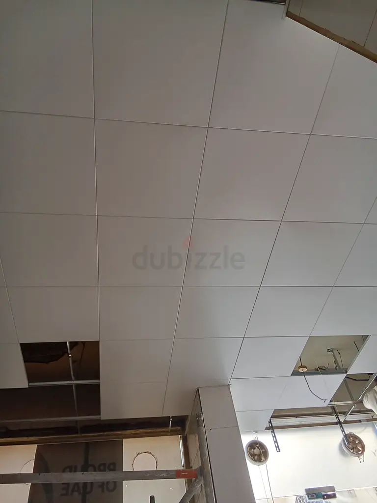 DPV_View_Image_2