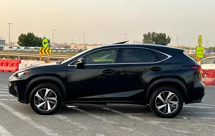 2020 Lexus NX-SERIES 照片 7